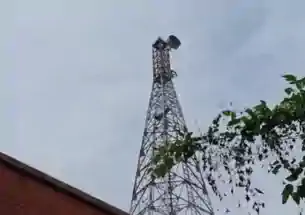 मुजफ्फरपुर में प्रेमी का हाई-वोल्टेज ड्रामा: 120 मीटर टावर पर चढ़ा, बोला- गर्लफ्रेंड को बुलाओ, तभी उतरूंगा