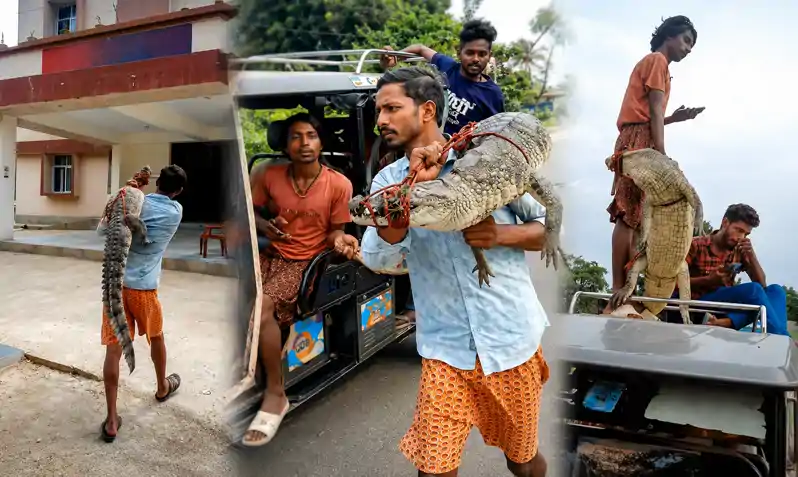 कंधे पर मगरमच्छ को लादकर थाने पहुंचा युवक, वायरल हुआ वीडियो