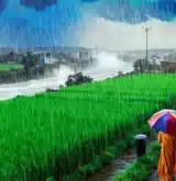 बरसेंगे बदरा, मॉनसून हुआ मजबूत