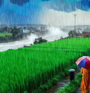 बरसेंगे बदरा, मॉनसून हुआ मजबूत