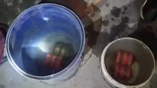 धनबाद : बंद मकान से चार ज़िंदा ब*म बरामद, इलाके में सनसनी 