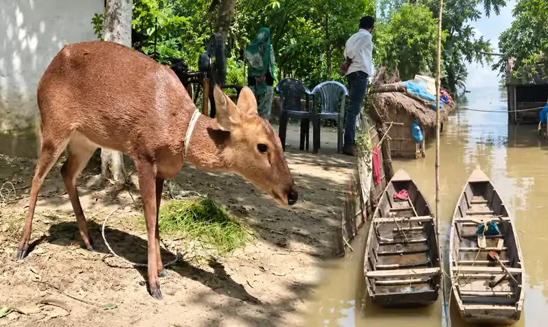 बिहार में कुदरत का कहर, गोपालगंज में टूटा जमींदारी बांध, बाढ़ के पानी में डूबी महिला की मौत बिहार में कुदरत का कहर, गोपालगंज में टूटा जमींदारी बांध, बाढ़ के पानी में डूबी महिला की मौत