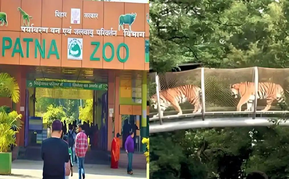पटना जू में डिजिटल क्रांति, QR कोड, ऐप और ई-वाहन से अब स्मार्ट तरीके से घूमिए संजय गांधी जैविक उद्यान
