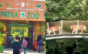 पटना जू में डिजिटल क्रांति, QR कोड, ऐप और ई-वाहन से अब स्मार्ट तरीके से घूमिए संजय गांधी जैविक उद्यान