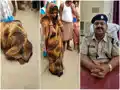 दुष्कर्म पीड़िता को पंचायत में थूक चटवाने का आरोप, गर्भवती महिला ने लगाई न्याय की गुहार