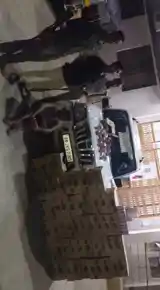 यूपी से बिहार लाए जा रहे बंटी बबली जब्त, धंधेबाज गिरफ्तार