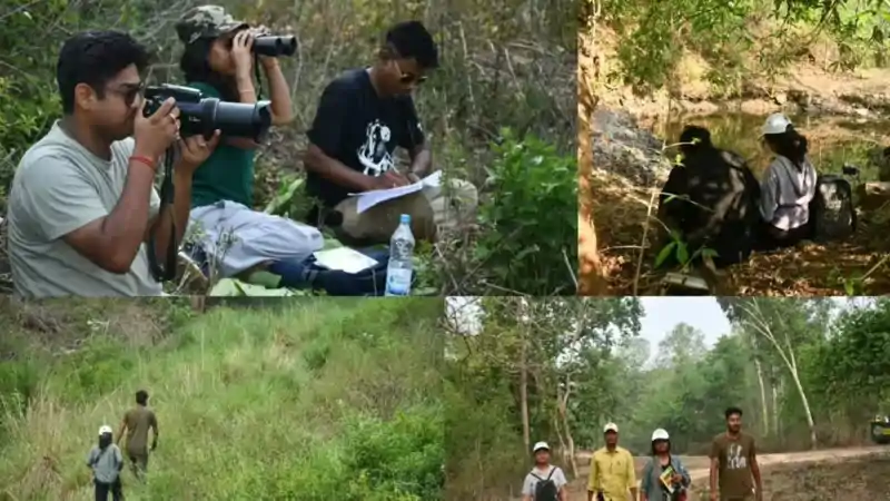 पलामू टाइगर रिजर्व में विशेष वन्यजीव सर्वेक्षण, जलस्रोतों पर दिखी हाथी और तेंदुए समेत कई प्रजातियों की मौजूदगी पलामू टाइगर रिजर्व में विशेष वन्यजीव सर्वेक्षण, जलस्रोतों पर दिखी हाथी और तेंदुए समेत कई प्रजातियों की मौजूदगी