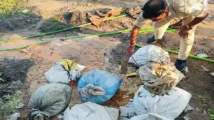 चाईबासा में अवैध शराब पर कड़ा प्रहार, 2000 किलो जावा महुआ नष्ट; एक आरोपी गिरफ्तार
