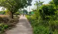 सड़क किनारे लटक रहे मौत के तार, जिम्मेवार नहीं उठाते फोन, ग्रामीणों ने की कार्रवाई की मांग