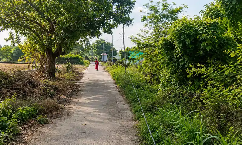 सड़क किनारे लटक रहे मौत के तार, जिम्मेवार नहीं उठाते फोन, ग्रामीणों ने की कार्रवाई की मांग सड़क किनारे लटक रहे मौत के तार, जिम्मेवार नहीं उठाते फोन, ग्रामीणों ने की कार्रवाई की मांग