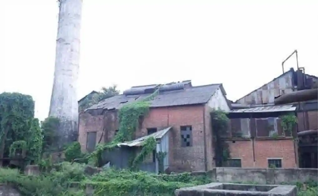 किसानों की मुस्कान लौटी: 28 साल बाद फिर चलने को तैयार सकरी चीनी मिल