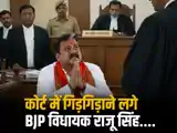 कोर्ट में गिड़गिड़ाने लगे BJP विधायक राजू सिंह, शनिवार को किस्मत का फैसला, जज साहब...वो मेरी भाभी..