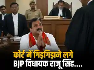कोर्ट में गिड़गिड़ाने लगे BJP विधायक राजू सिंह, शनिवार को किस्मत का फैसला, जज साहब...वो मेरी भाभी..