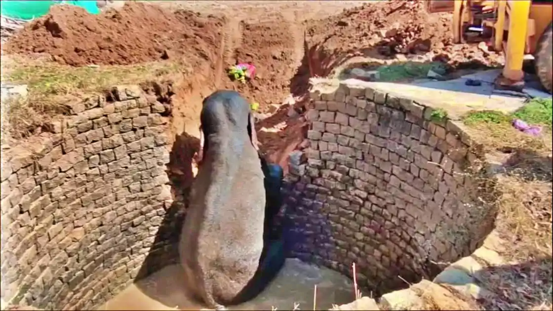 खूंटी : अनिगढ़ा में कुएं में गिरे 'गजराज', वन विभाग की मुस्तैदी से बची जान