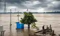 आपदा प्रबंधन विभाग का अलर्ट, इन जगहों पर बढ़ सकता है गंगा नदी का जलस्तर, बरतें सावधानी