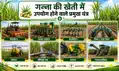 गन्ना किसानों के लिए अच्छी खबर, यंत्रिकरण योजना के तहत 44 प्रकार के यंत्रो पर मिलेगा अनुदान