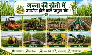 गन्ना किसानों के लिए अच्छी खबर, यंत्रिकरण योजना के तहत 44 प्रकार के यंत्रो पर मिलेगा अनुदान गन्ना किसानों के लिए अच्छी खबर, यंत्रिकरण योजना के तहत 44 प्रकार के यंत्रो पर मिलेगा अनुदान