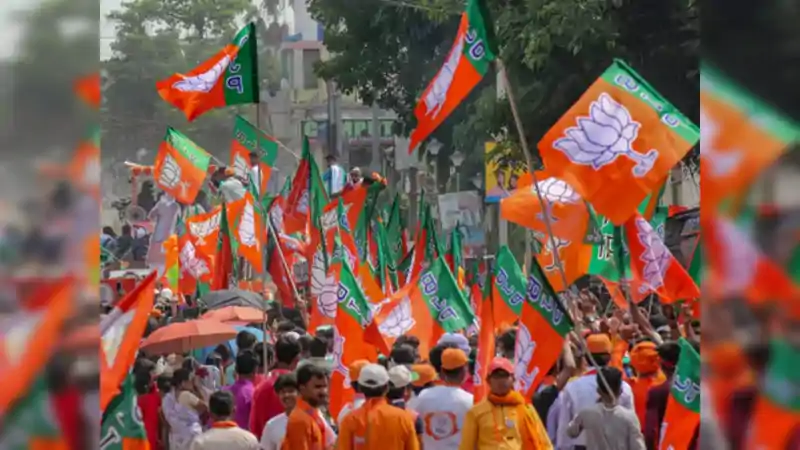 राज्यसभा चुनाव के लिए BJP ने खोले पत्ते, जानिए किस राज्य से कौन बना उम्मीदवार