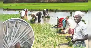 किसान ऋण माफी योजना: 16 जिलों में ई-केवाईसी का लक्ष्य अधूरा, 8 जिलों ने पूरा किया टारगेट