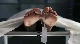 चाईबासा : हवलदार ने सर्विस राइफल से खुद को मारी गोली, मौके पर मौ*त, अमौर थाने में था तैनात 