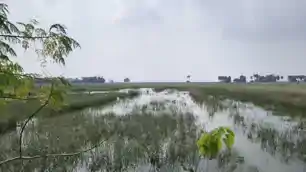 बाढ़ का कहर खत्म, अब बीमारी व मुआवजे की चुनौती, खेतों में तबाही, घरों में सड़ा सामान