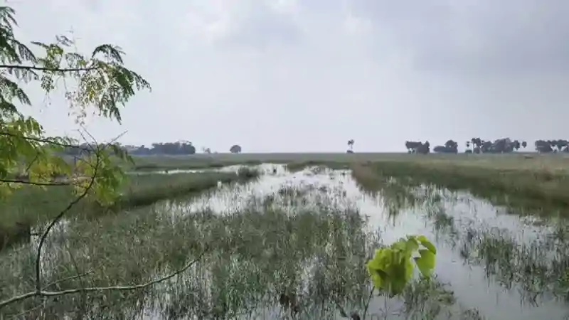 बाढ़ का कहर खत्म, अब बीमारी व मुआवजे की चुनौती, खेतों में तबाही, घरों में सड़ा सामान बाढ़ का कहर खत्म, अब बीमारी व मुआवजे की चुनौती, खेतों में तबाही, घरों में सड़ा सामान