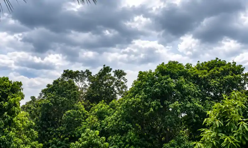 बिहार में बदल रहा मौसम, अगले दो से तीन दिनों में राज्य के अनेक स्थानों पर गिर सकता है तापमान बिहार में बदल रहा मौसम, अगले दो से तीन दिनों में राज्य के अनेक स्थानों पर गिर सकता है तापमान