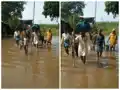 नेपाल में बारिश से उफनाई नदियां, बिहार में बाढ़ से हाहाकार, घरों में घुसा पानी, लोग कर रहे पलायन 
