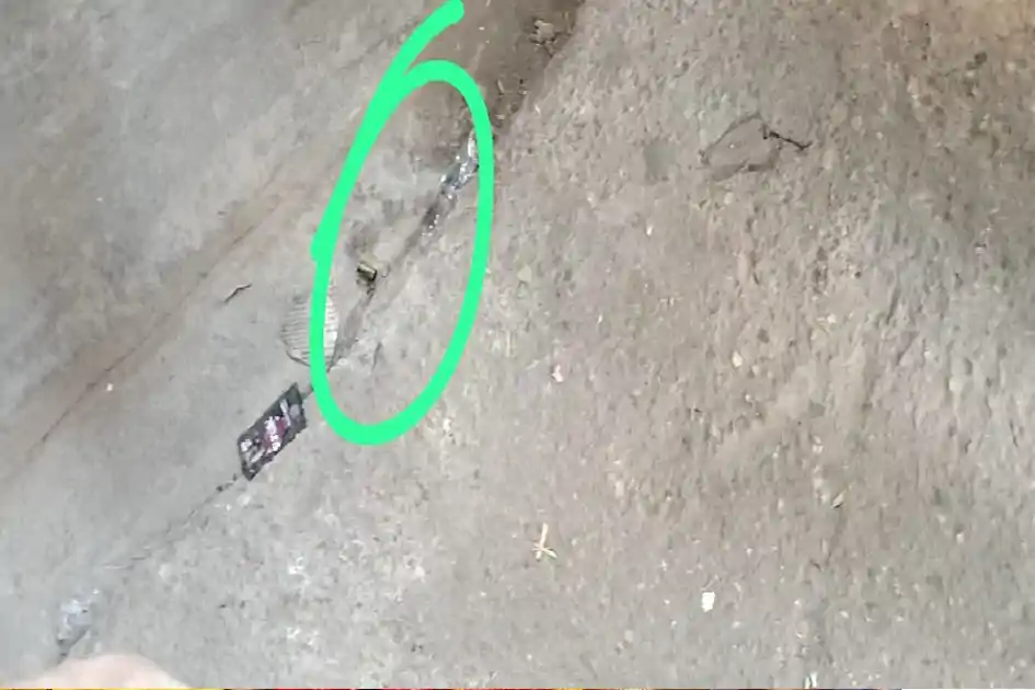 हजारीबाग : बड़कागांव में दिनदहाड़े फा*यरिंग से सनसनी, जेवर कारोबारी पर अंधाधुंध बरसाईं गोलियां