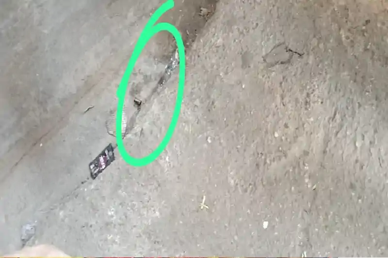 हजारीबाग : बड़कागांव में दिनदहाड़े फा*यरिंग से सनसनी, जेवर कारोबारी पर अंधाधुंध बरसाईं गोलियां हजारीबाग : बड़कागांव में दिनदहाड़े फा*यरिंग से सनसनी, जेवर कारोबारी पर अंधाधुंध बरसाईं गोलियां