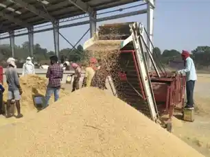 सुस्त रफ्तार: 2 महीने में महज एक तिहाई धान की खरीद, डेढ़ महीने में लक्ष्य पाना बड़ी चुनौती