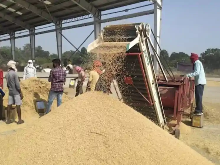 सुस्त रफ्तार: 2 महीने में महज एक तिहाई धान की खरीद, डेढ़ महीने में लक्ष्य पाना बड़ी चुनौती