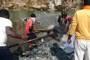 चतरा : सात दिन बाद पत्थर खदान में मिला लापता छात्र का श*व, परिजनों ने ह*त्या की जताई आशंका