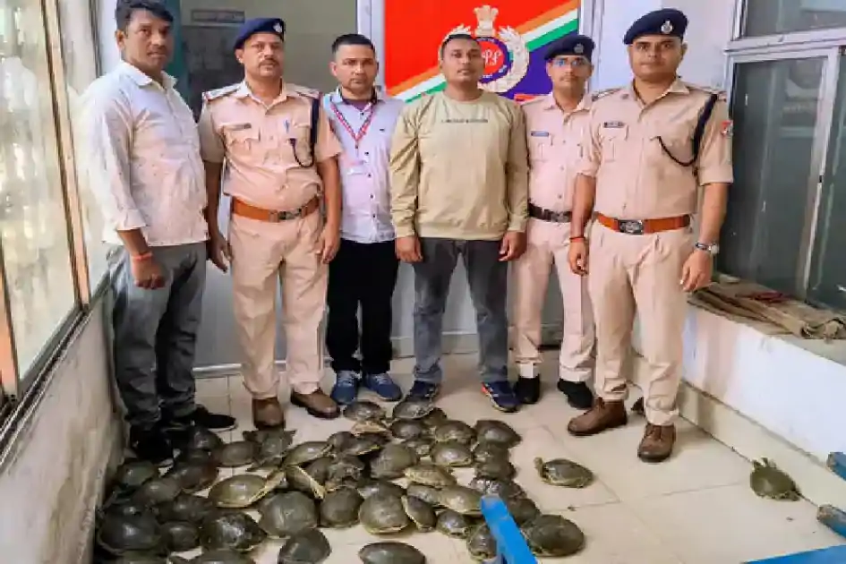 धनबाद रेलवे स्टेशन पर योगनगरी एक्सप्रेस से 78 कछुए बरामद, अनुमानित कीमत 7.8 लाख
