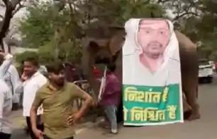 जेडीयू ऑफिस में निशांत कुमार का शाही स्वागत, हाथी-ऊंट-घोड़े और ढोल-नगाड़ों से गूंजा माहौल