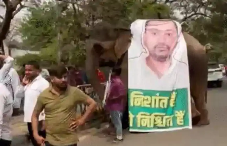 जेडीयू ऑफिस में निशांत कुमार का शाही स्वागत, हाथी-ऊंट-घोड़े और ढोल-नगाड़ों से गूंजा माहौल