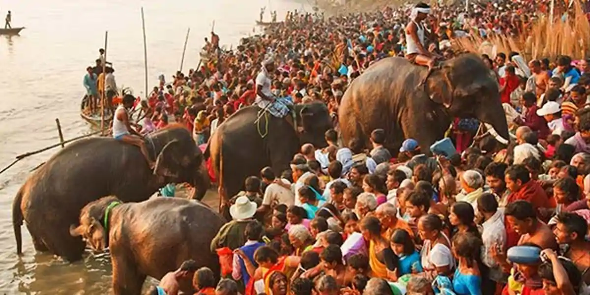 सोनपुर मेले की तारीखों में बदलावः अब नए शेड्यूल पर सजेगा एशिया का सबसे बड़ा पशु बाजार