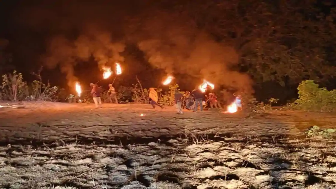 गोमिया में जंगली हाथियों का कहर, 48 घंटे में 5 लोगों ने गंवाई जान 