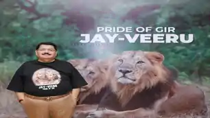 70% बढ़ी एशियाई शेरों की आबादी, विश्व शेर दिवस पर संरक्षण यात्रा का दस्तावेज जारी