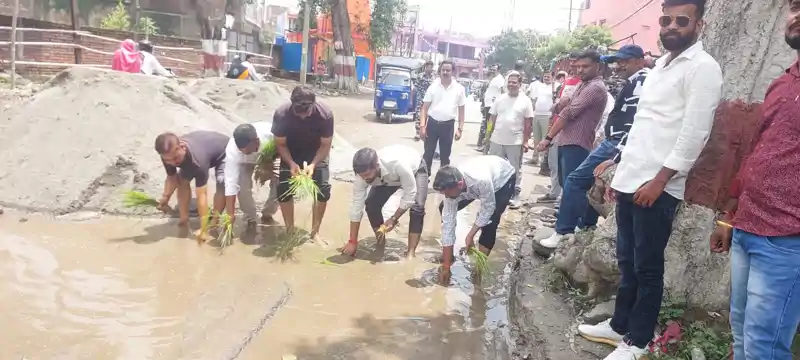 बैरिया चौक की अजीब स्थिति, विरोध में लोगों ने की धान की रोपनी