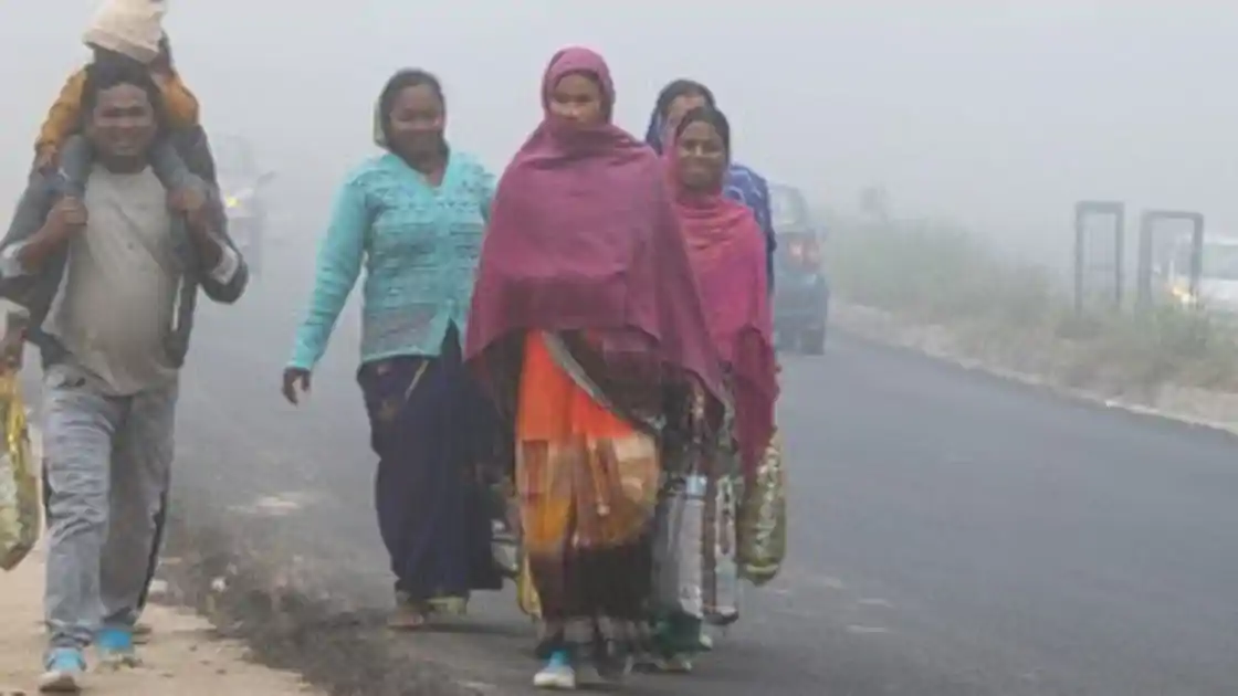 बिहार में फिर लौटी कनकनी, घना कोहरा और पछुआ हवा से बढ़ी ठंड, 15 फरवरी को हल्की बारिश के आसार