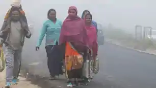 बिहार में फिर लौटी कनकनी, घना कोहरा और पछुआ हवा से बढ़ी ठंड, 15 फरवरी को हल्की बारिश के आसार