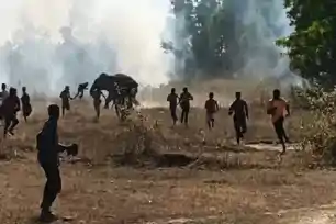 20 मौ*तों के बाद थमा दहशत का सिलसिला, झारखंड-ओडिशा बॉर्डर में पकड़ा गया दंतैल हाथी