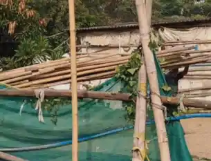 जीत से पहले अनंत सिंह ने शुरू की जश्न की तैयारी, फेसबुक पर निमंत्रण दिया, यूजर्स बोले- बिना काउंटिंग के जश्न