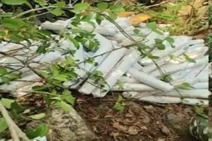 राउरकेला विस्फोटक लूट में NIA का बड़ा खुलासा, सुरक्षाबलों पर हमले की साजिश में झारखंड-ओडिशा के नक्सली शामिल