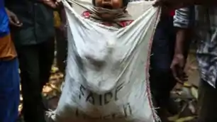 पिपरवार थाना क्षेत्र में बाल अपहरण की साजिश नाकाम, ग्रामीणों की सतर्कता से टली अनहोनी