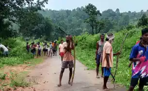 खूंटी में हाथियों के बढ़ते आतंक से दहशत में ग्रामीण, समाजसेवी ने मुख्य वन संरक्षक से की स्थायी समाधान की मांग