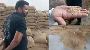भोरे के fDI गोदाम में मिले कीड़े वाले राशन, सियासत गर्म, जांच के आदेश 