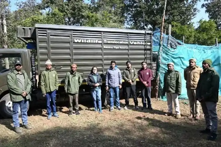 पलामू टाइगर रिज़र्व बना IFS प्रशिक्षुओं के लिए सीख का जीवंत केंद्र, संरक्षण मॉडल ने बटोरी सराहना