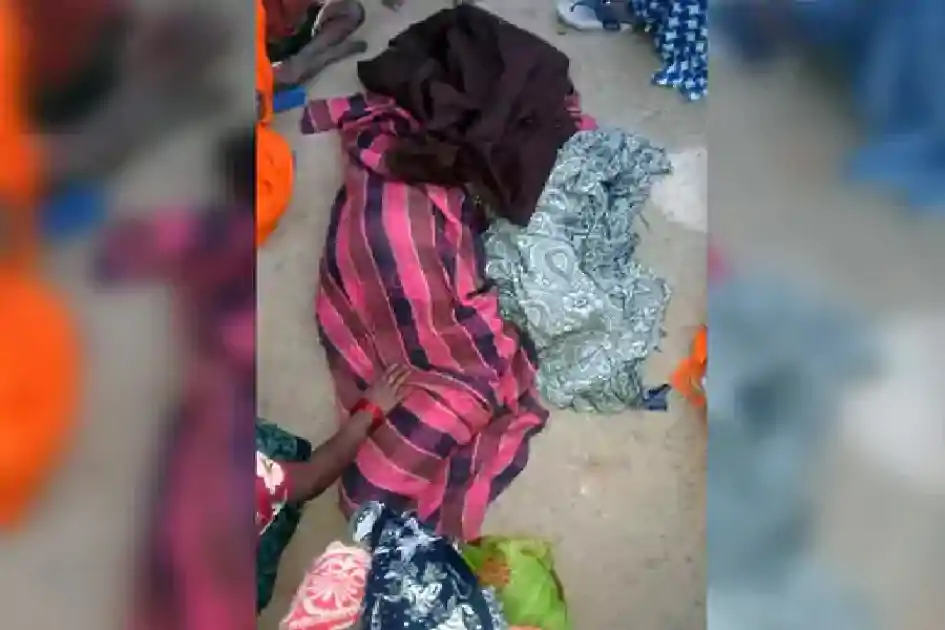 हजारीबाग में हाथियों का कहर; आधी रात गांव में घुसे झुंड ने 6 लोगों को कुचला, मासूम की मौत